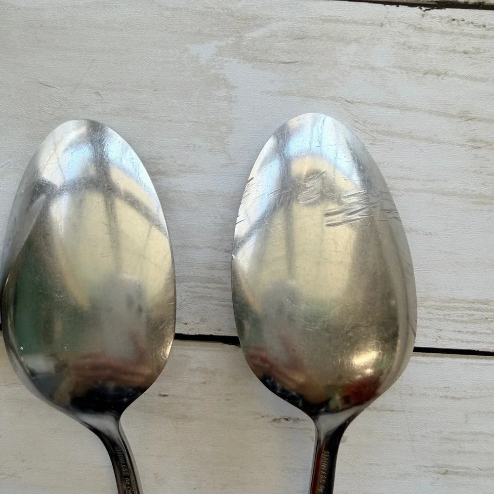 Oneida Flatware Set of 12 Piece Silver Stainless‎ Steel MCM Swirl Leaf Pattern